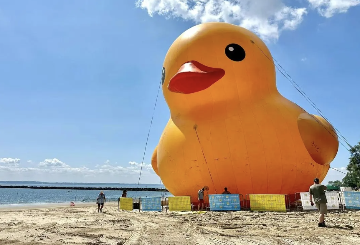 世界最大橡皮鸭本周登陆纽约